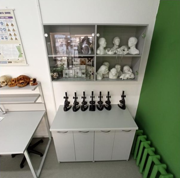 Зелёный стеллаж для учебных пособий