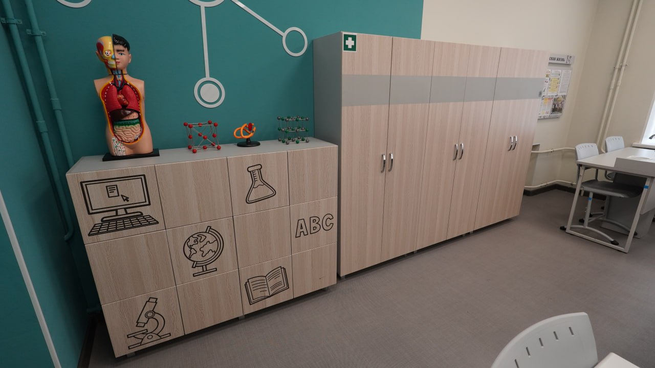 Кабинет биологии — шкафы с иконками, анатомическая модель